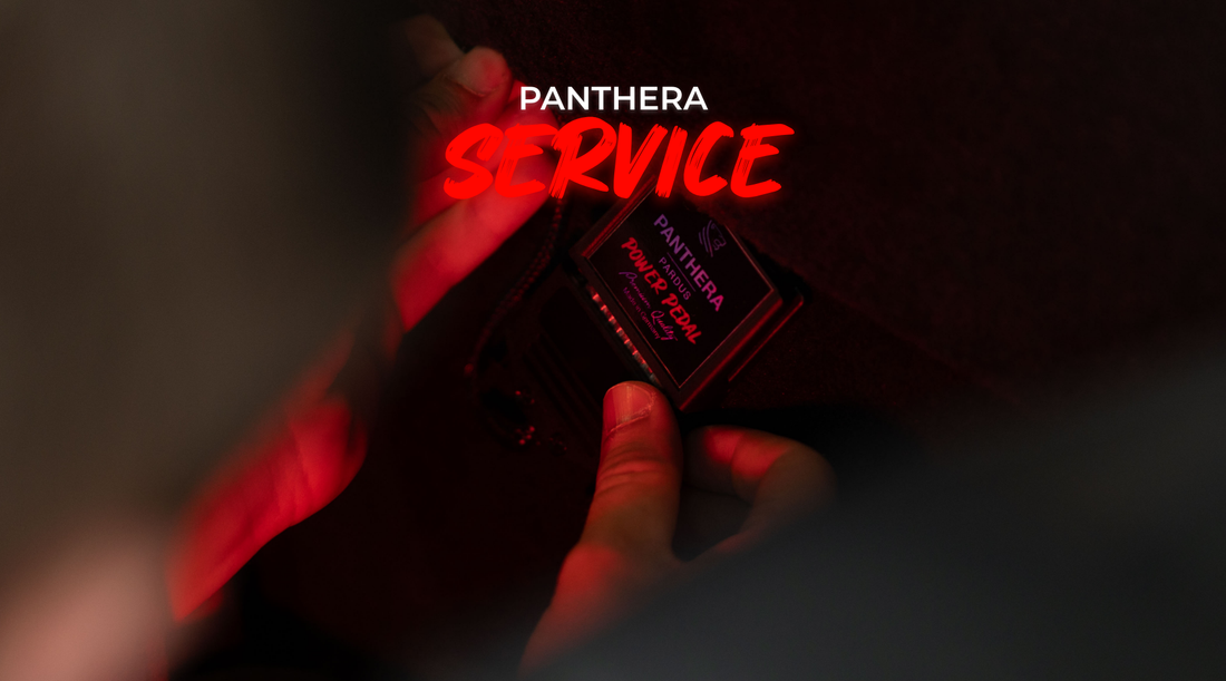 Professioneller Einbau im Panthera Tuningcenter