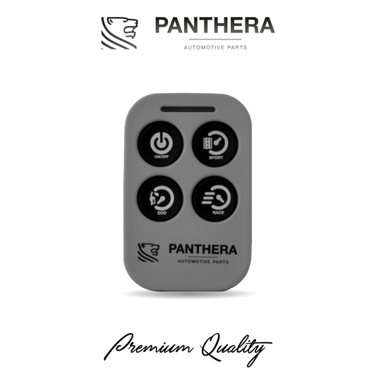 PTR REMOTE